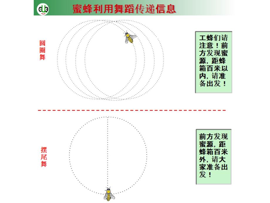 广东省汕头市金山中学高中生物 5.4 生态系统的信息传递课件 新人教版必修3_第3页