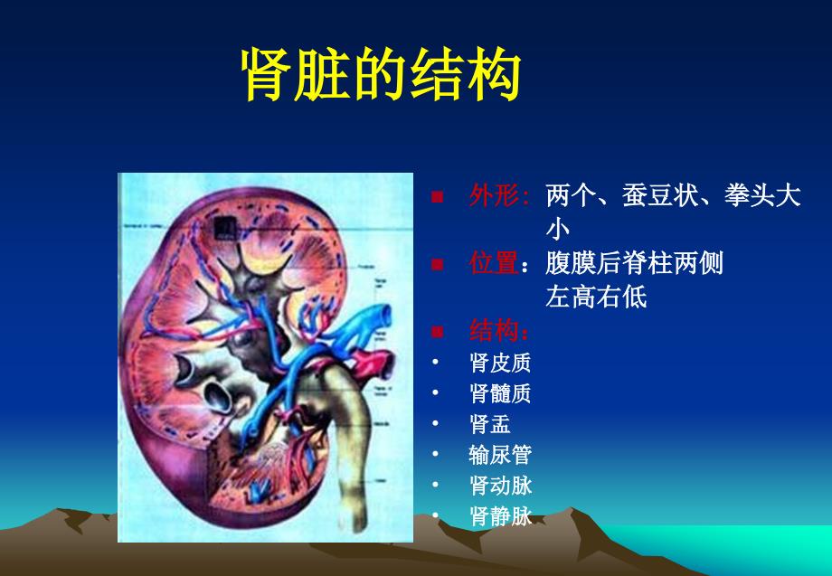 慢性肾脏疾病的护理课件.ppt_第2页