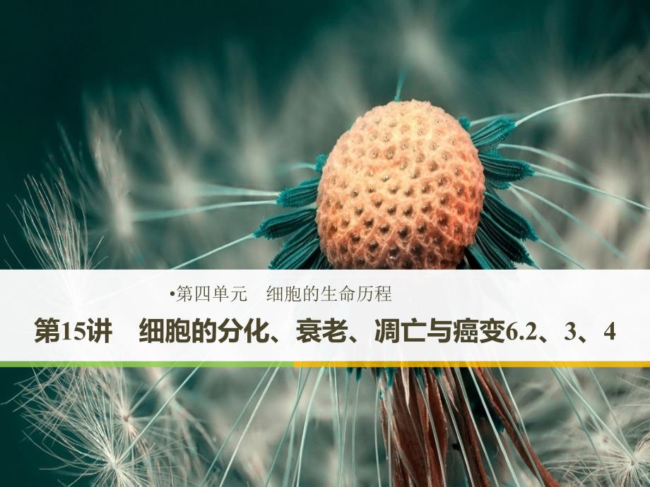 细胞的分化、衰老和癌变_第1页