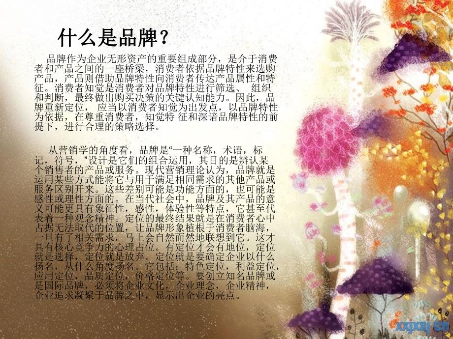 产品的不同品牌分.ppt_第2页