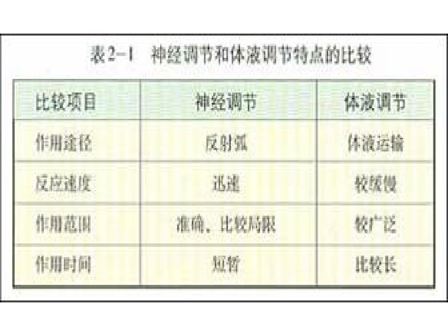 2.3神经调节与体液调节的关系课件朱秀花_第4页