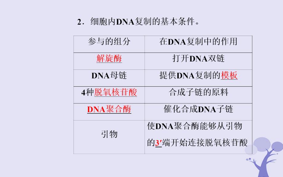 生物 专题5 DNA和蛋白质技术 课题2 多聚酶链式反应扩增DNA片段 新人教版选修1_第4页