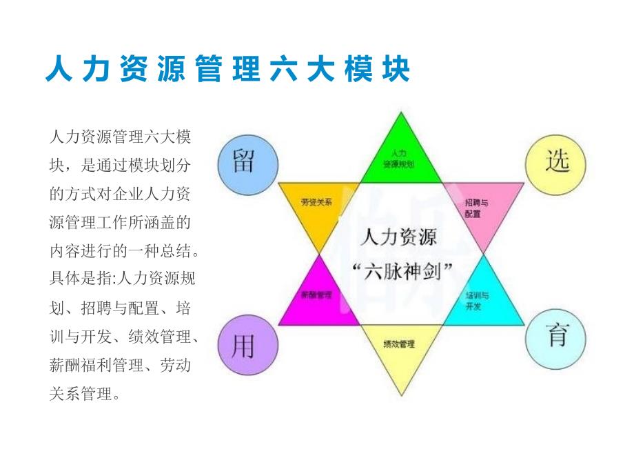 酒店人力资源管理案例希尔顿与七天_第4页