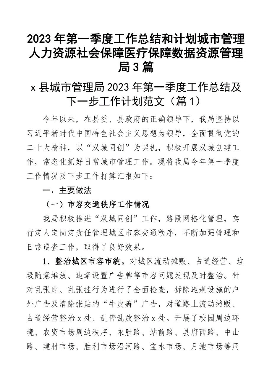 2023年第一季度工作总结和计划城市管理人力资源社会保障医疗保障数据资源管理局3篇_第1页