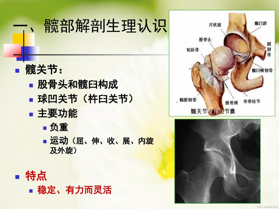 髋关节置换术后的健康宣教_第3页