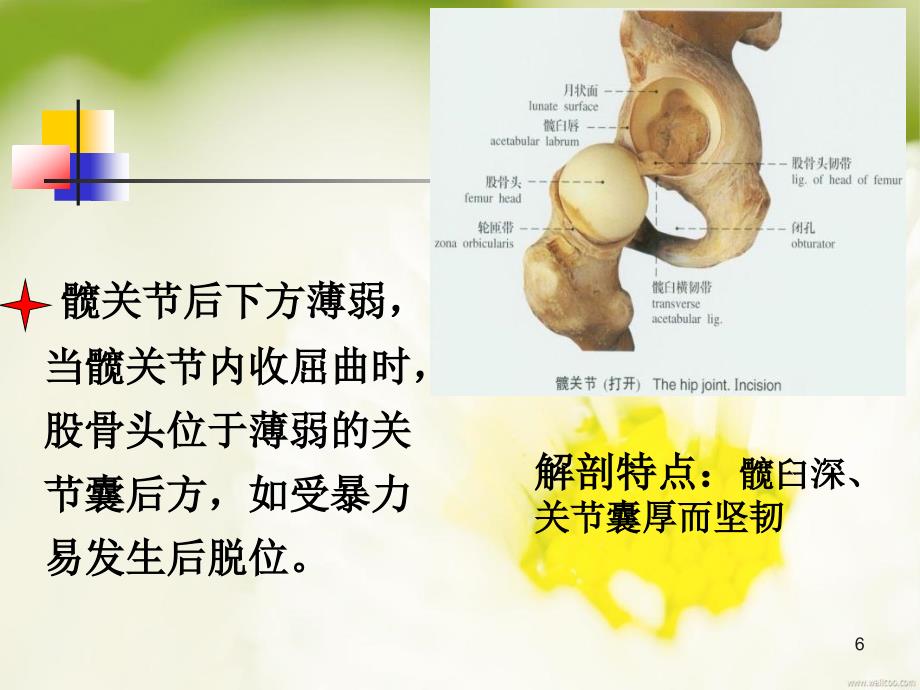 髋关节置换术后的健康宣教_第4页