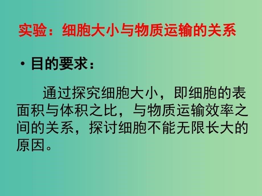 高中生物 6.1 细胞的增殖课件 新人教版必修1.ppt_第5页