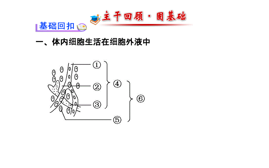 高三生物榜频道一轮课件必修人体的内环境与稳态_第3页