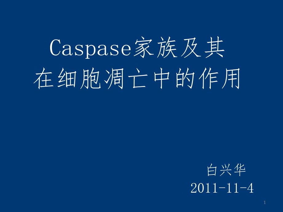 caspase蛋白1PPT课件_第1页