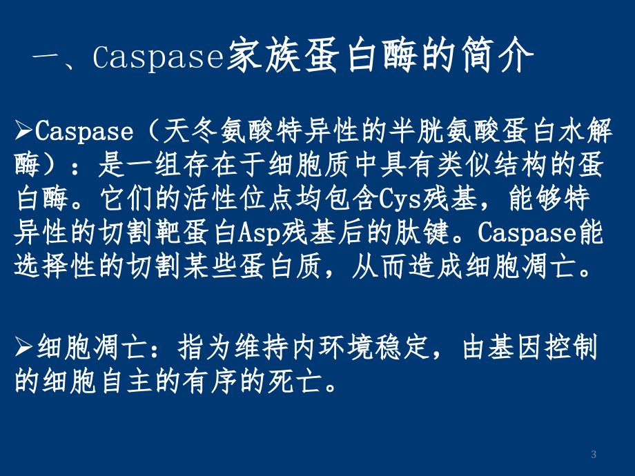 caspase蛋白1PPT课件_第3页