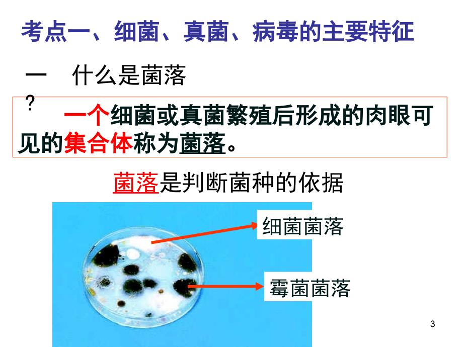 推荐生物八年级上册第四章第五章复习_第3页