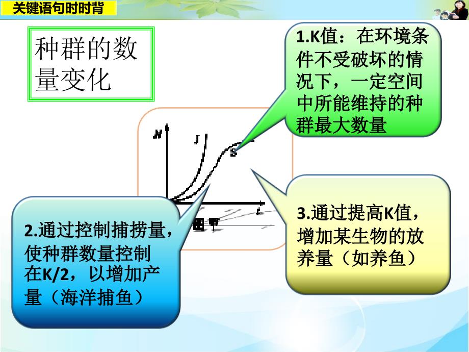 关键语句时时背15_第4页