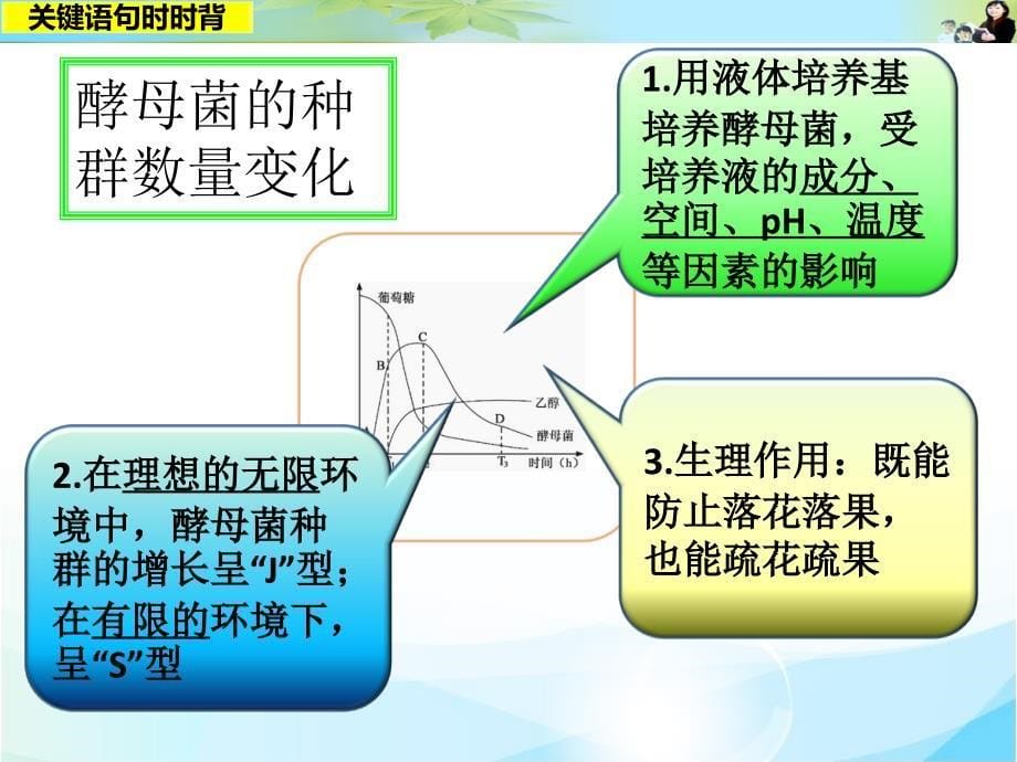 关键语句时时背15_第5页