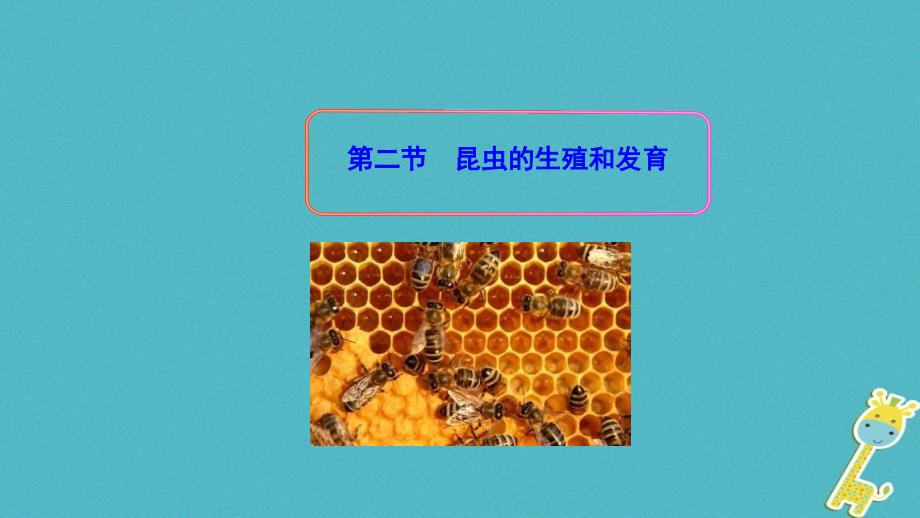 八年级生物下册7.1.2昆虫的生殖和发育课件3新版新人教版_第1页