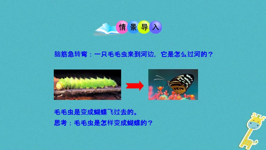 八年级生物下册7.1.2昆虫的生殖和发育课件3新版新人教版_第2页