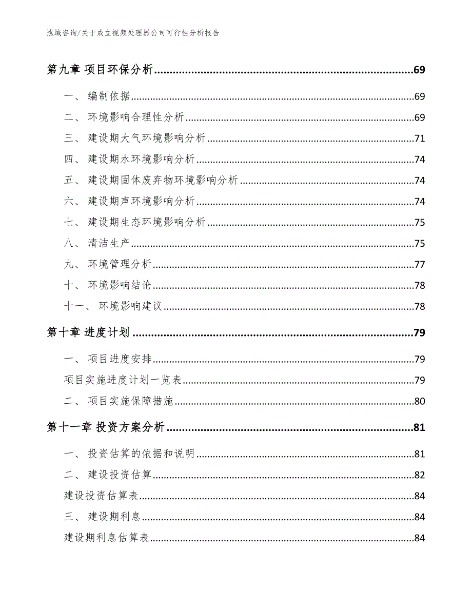 关于成立视频处理器公司可行性分析报告_第4页