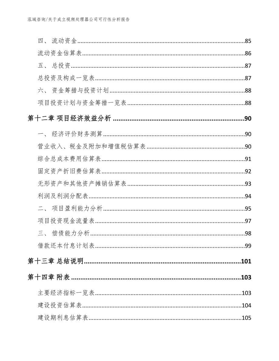 关于成立视频处理器公司可行性分析报告_第5页