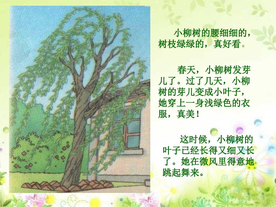 人教版小学语文二年级上册《小柳树和小枣树》PPT课件_第3页