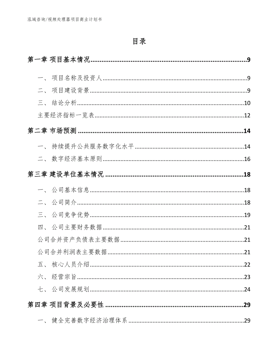 视频处理器项目商业计划书模板_第2页