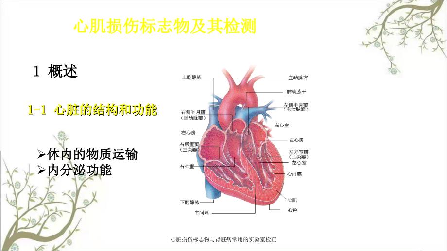 心脏损伤标志物与肾脏病常用的实验室检查_第2页