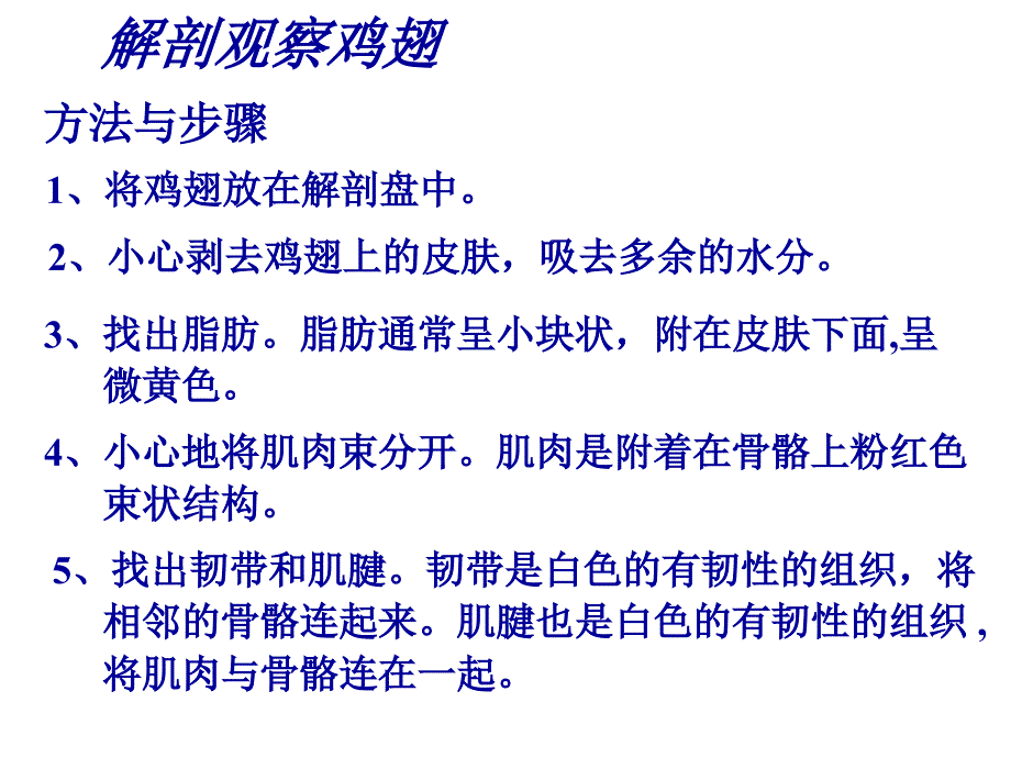 生物体的器官系统_第4页