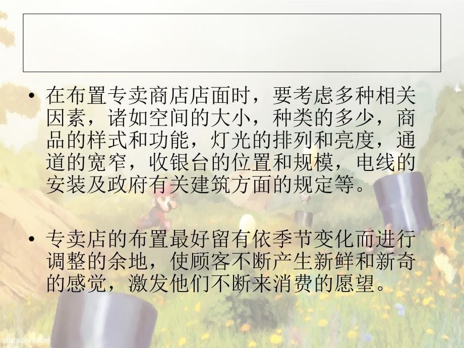 专卖设计方案_第5页