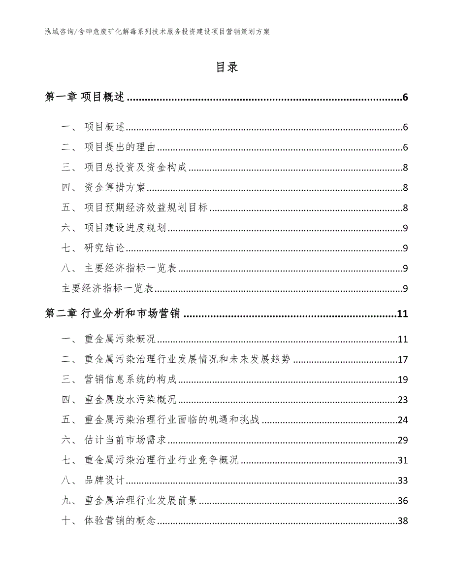 含砷危废矿化解毒系列技术服务投资建设项目营销策划方案【范文参考】_第2页