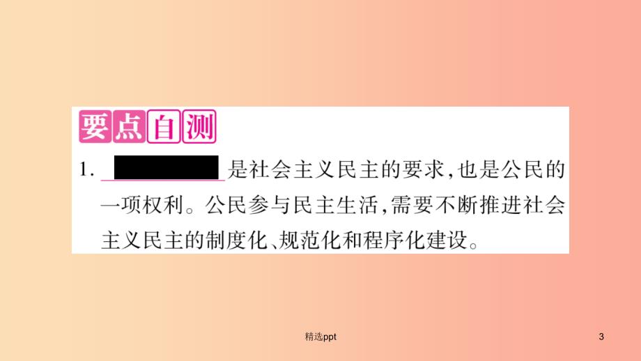 九年级道德与法治上册-第二单元-民主与法治-第三课-追求民主价值-第2框-参与民主生活习题课件-新人_第3页