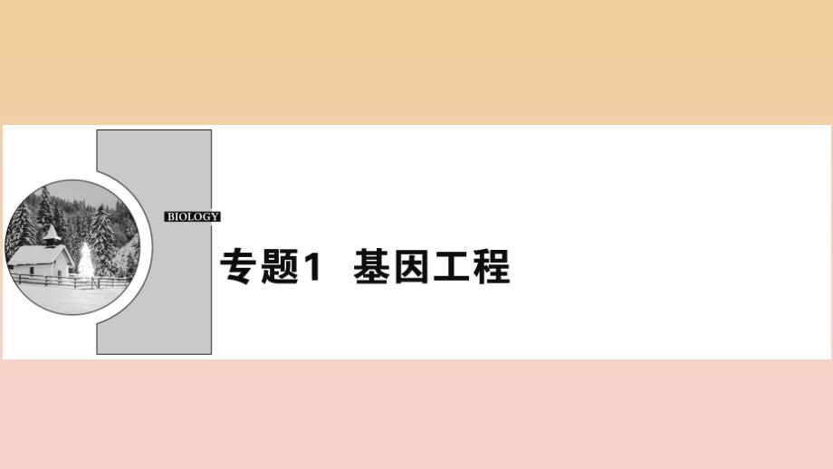 2017-2018学年高中生物专题1基因工程1.1DNA重组技术的基本工具课件新人教版选修3 .ppt_第1页