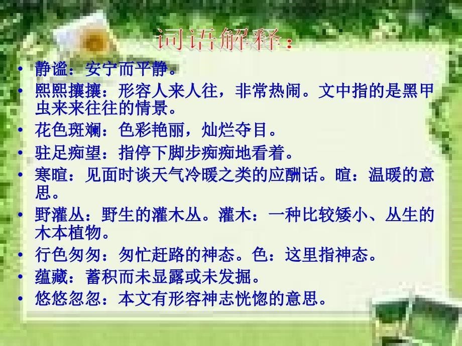 《草虫的村落》课件_第5页