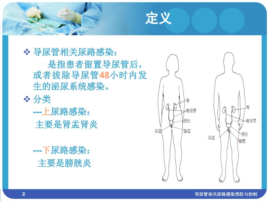 导尿管相关尿路感染预防与控制_第2页