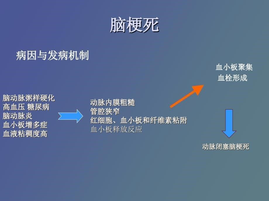 急性脑血管疾病的护理_第5页