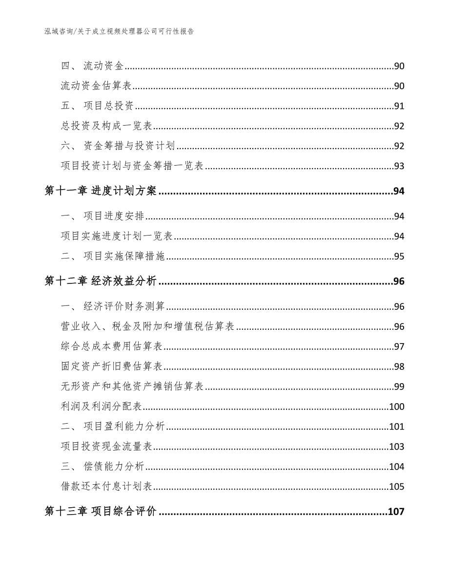 关于成立视频处理器公司可行性报告_第5页