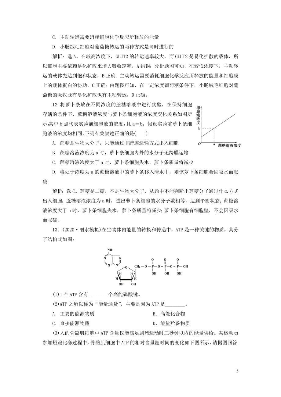 浙江省2021版新高考生物一轮复习专题3细胞的代谢第5讲细胞与能量物质出入细胞的方式预测高效提升新人教版_第5页