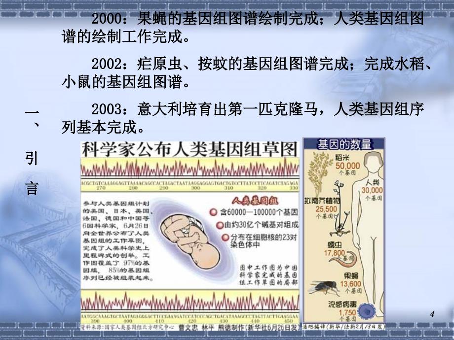 基因工程基本概念与基本原理.ppt_第4页