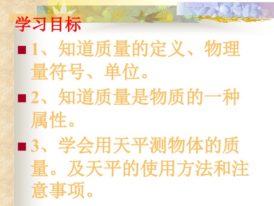 初中物理课件质量及其测量_第4页