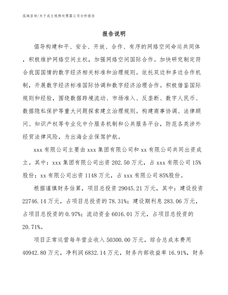 关于成立视频处理器公司分析报告_模板_第2页