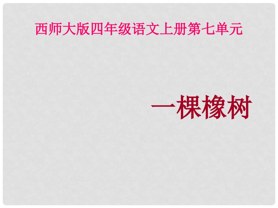 四年级语文上册 第七单元 一棵橡树课件4 西师大版_第1页