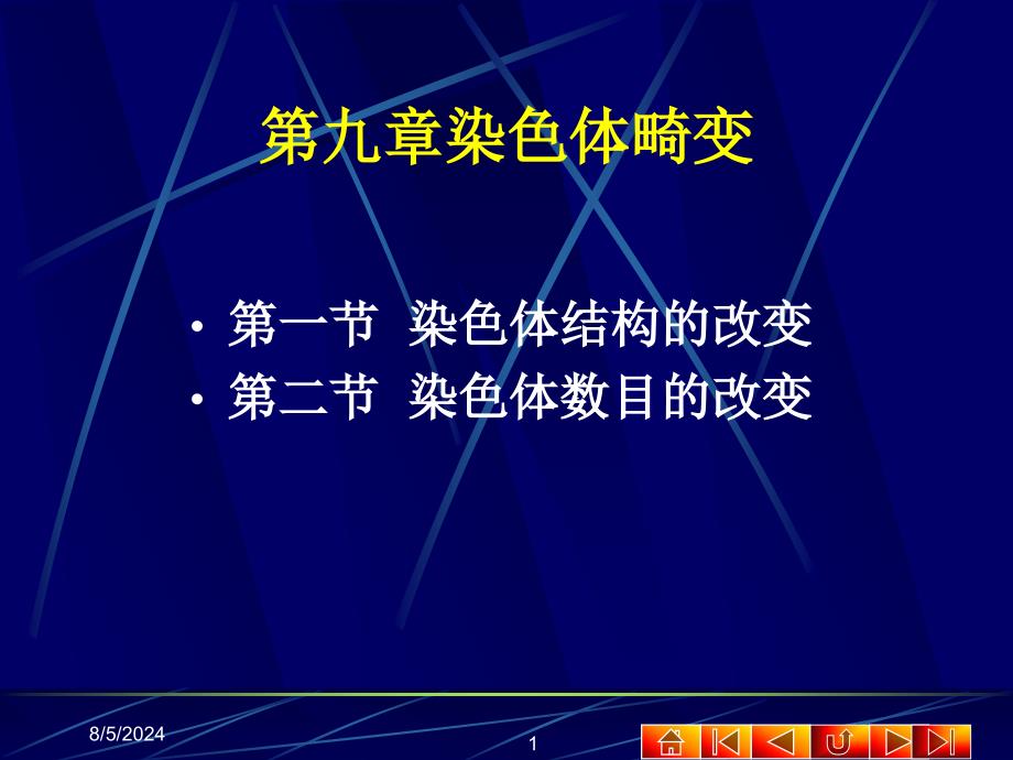 第一节染色体的结构变异_第1页