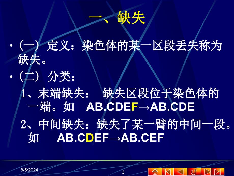 第一节染色体的结构变异_第3页