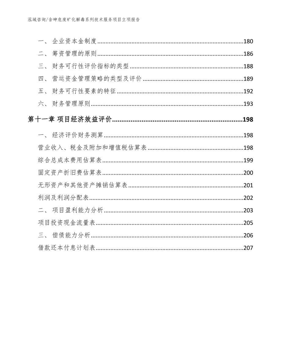 含砷危废矿化解毒系列技术服务项目立项报告（范文模板）_第5页