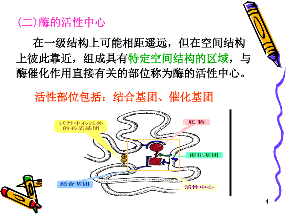 《微生物的生理》PPT课件.ppt_第4页