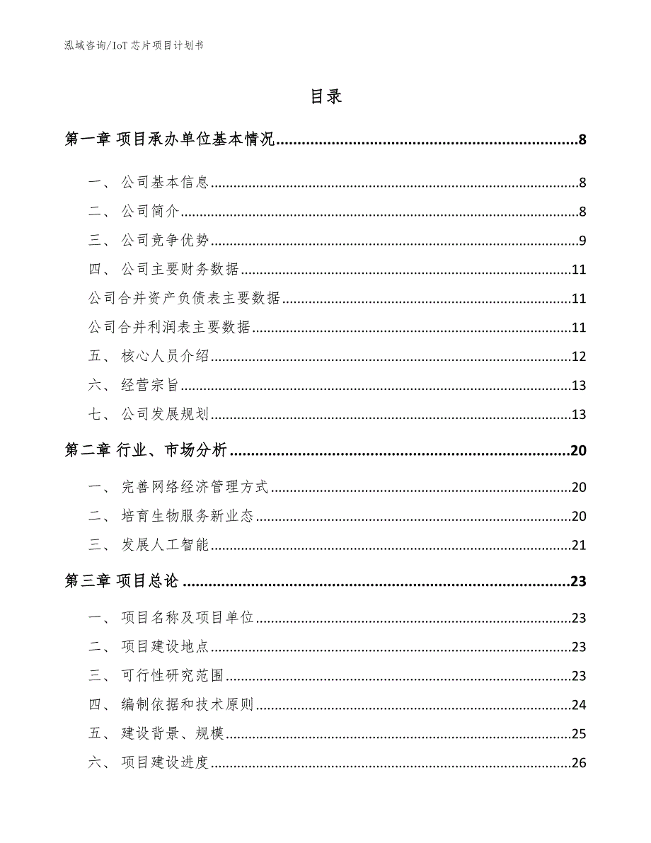 IoT芯片项目计划书_第2页