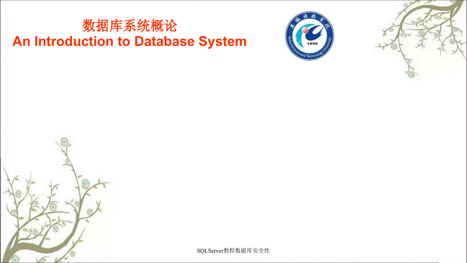 SQLServer教程数据库安全性PPT课件_第1页