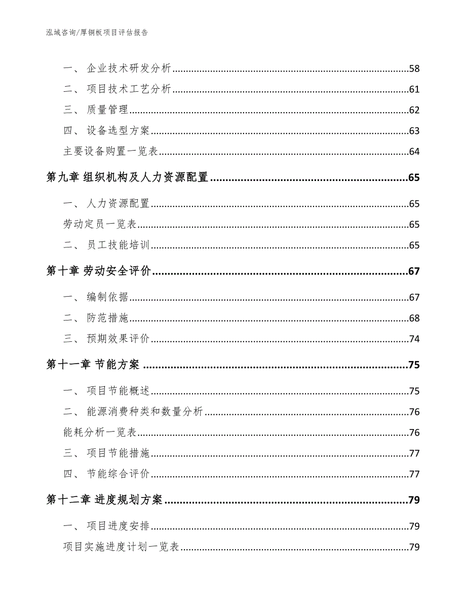 厚铜板项目评估报告_第3页