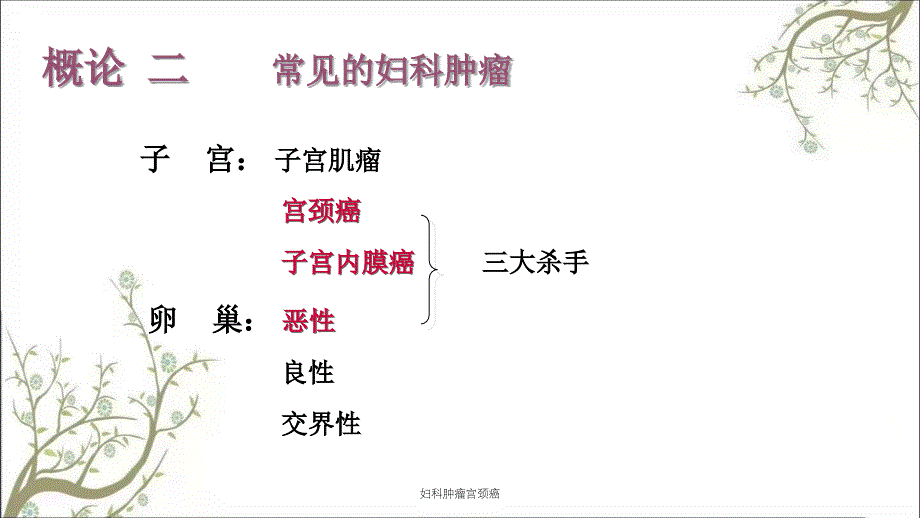 妇科肿瘤宫颈癌课件_第4页