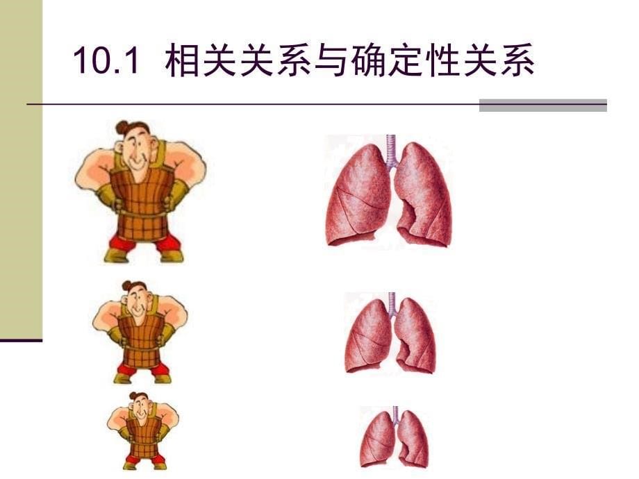 两指标间的相关分析_第5页