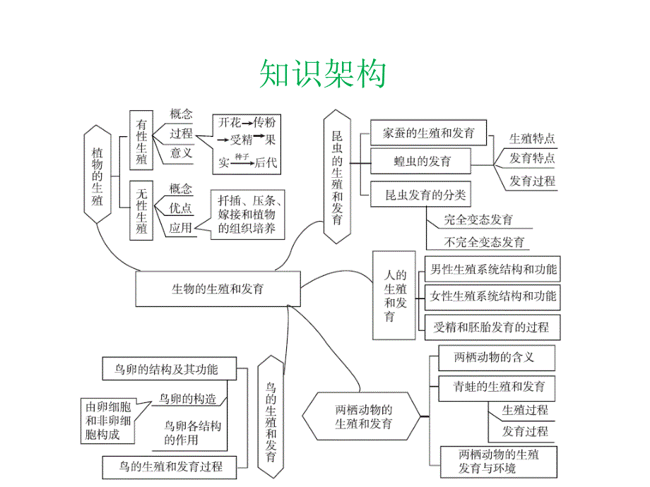 中考生物总复习 第七部分 生物的生殖发育与遗传 专题十六 生物的生殖和发育课件_第2页