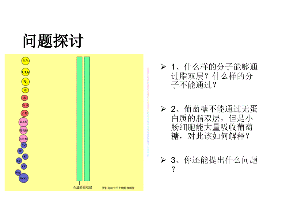 物质跨膜运输方式.ppt_第3页