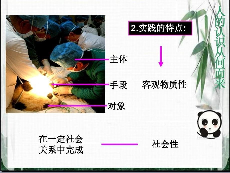 人的认识从何而来(省优质课).ppt_第5页